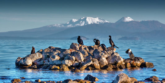 After the Storm . Lake Taupo, New Zealand