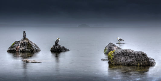 Battle of Will . Lake Taupo, New Zealand
